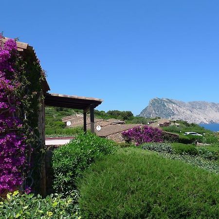 Casa Molara Villa San Teodoro  Rom bilde