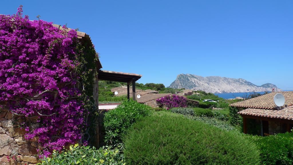 Casa Molara Villa San Teodoro  Rom bilde